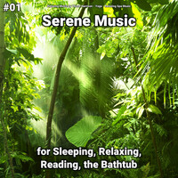 Thumbnail for the Relaxing Spa Music - Background Music link, provided by host site