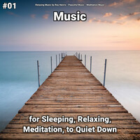 Thumbnail for the Peaceful Music - Background Music link, provided by host site