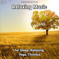 Thumbnail for the Yoga - Background Music link, provided by host site