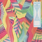 Thumbnail for the Flying Lotus - Backpack Caviar link, provided by host site