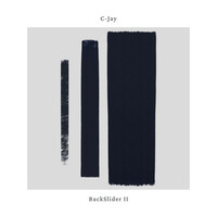 Thumbnail for the C-Jay - BackSlider II link, provided by host site