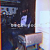 Thumbnail for the Stevie T. - Backwoods (T-Mix) link, provided by host site
