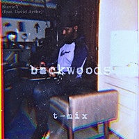 Thumbnail for the Stevie T. - Backwoods (T-Mix) link, provided by host site