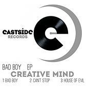 Thumbnail for the Creative Mind - Bad Boy link, provided by host site
