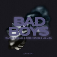 Thumbnail for the Marshmello - Bad Boys link, provided by host site