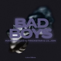 Thumbnail for the Marshmello - Bad Boys link, provided by host site