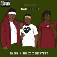 Thumbnail for the Shadz - Bad Breed link, provided by host site