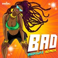 Thumbnail for the Blaiz Fayah - Bad (Buskilaz Remix) link, provided by host site