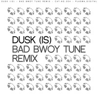 Thumbnail for the DUSK (IS) - Bad Bwoy Tune Remix link, provided by host site