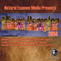 Thumbnail for the SOL Element - Bad Jam - Trevor Ricci Remix link, provided by host site