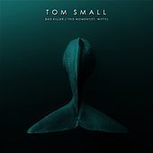 Thumbnail for the Tom Small - Bad Killer / This Moment link, provided by host site