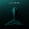 Thumbnail for the Tom Small - Bad Killer / This Moment link, provided by host site