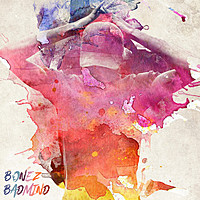 Thumbnail for the Bonez - Badmind link, provided by host site