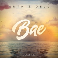 Thumbnail for the Anth - Bae link, provided by host site
