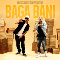 Thumbnail for the Puya - Baga Bani link, provided by host site