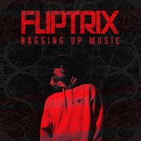 Thumbnail for the Fliptrix - Bagging Up Music link, provided by host site