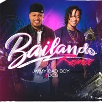Thumbnail for the DCS - Bailando [Remix] link, provided by host site
