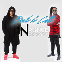 Thumbnail for the Yastice - Baile la Calle link, provided by host site