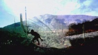 Thumbnail for the Tunnelvision - Baja Bound link, provided by host site