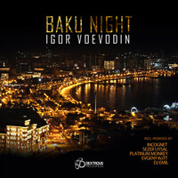 Thumbnail for the Igor Voevodin - Baku Night link, provided by host site