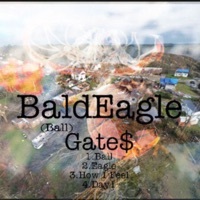 Thumbnail for the Gate - BaldEagle link, provided by host site