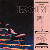 Thumbnail for the Hippo Campus - Bambi link, provided by host site