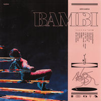 Thumbnail for the Hippo Campus - Bambi link, provided by host site