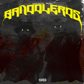 Thumbnail for the Neto Reyno - Bandoleros link, provided by host site