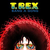 Thumbnail for the T. Rex - Bang a Gong link, provided by host site