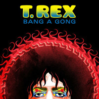 Thumbnail for the T. Rex - Bang a Gong link, provided by host site