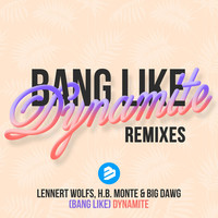 Thumbnail for the Lennert Wolfs - Bang Like Dynamite (The Remixes) link, provided by host site