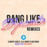 Thumbnail for the Lennert Wolfs - Bang Like Dynamite (The Remixes) link, provided by host site