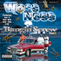 Thumbnail for the Woss Ness - Bangin' Screw Pt. 2 link, provided by host site