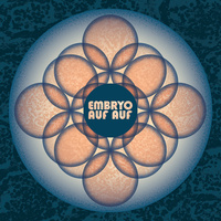 Thumbnail for the Embryo - Baran link, provided by host site