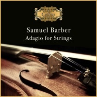 Thumbnail for the Jacek Kaspszyk - Barber: Adagio for Strings link, provided by host site