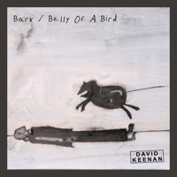 Thumbnail for the David Keenan - Bark link, provided by host site