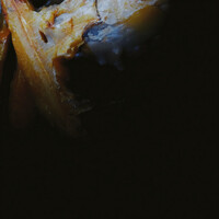 Thumbnail for the ENA - Baroque link, provided by host site