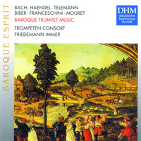 Thumbnail for the Friedemann Immer - Baroque Trumpet Music link, provided by host site