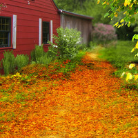 Thumbnail for the Doyle - base link, provided by host site