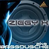 Thumbnail for the Ziggy X - Bassdusche 2K9 link, provided by host site