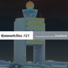 Thumbnail for the Incident - Basswerk Files #021 Young Hungarian Tech-Funk link, provided by host site