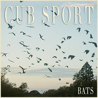 Image of Cub Sport linking to their artist page due to link from them being at the top of the main table on this page
