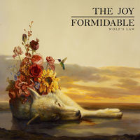 Thumbnail for the The Joy Formidable - Bats link, provided by host site