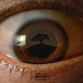 Thumbnail for the Cro - Baum link, provided by host site