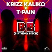 Thumbnail for the T-Pain - BB link, provided by host site