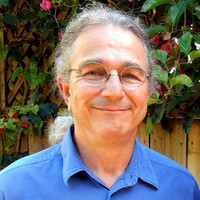 Thumbnail for the David Gans - Be Like Earl link, provided by host site