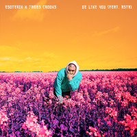 Thumbnail for the Esoterik - Be Like You link, provided by host site