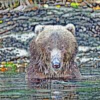 Thumbnail for the Onething - Bear link, provided by host site