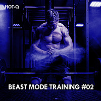 Thumbnail for the Hot-Q - Beast Mode Training, Vol. 02 link, provided by host site
