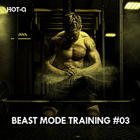Thumbnail for the Hot-Q - Beast Mode Training, Vol. 03 link, provided by host site